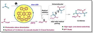 Graphical abstract: Metal-free photoredox-catalyzed reductive dimerization of allenes enabled by heterolytic cleavage of α-bromoesters: access to functionalized 1,5-dienes