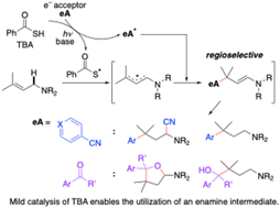 Graphical abstract: Thiobenzoic acid-catalyzed regioselective functionalization of allylamines via hydrogen atom transfer under visible light irradiation