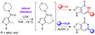 Graphical abstract: The lateral lithiation of pyrazoles: direct, transition-metal-free access to pyrazolopyridinones and pyrazolopyranones