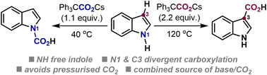 Graphical abstract: Regiodivergent N1- and C3-carboxylation of indoles