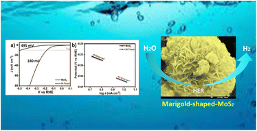 Graphical abstract: Marigold-flower-like MoS2 nanosheet assemblies for enhanced alkaline hydrogen evolution