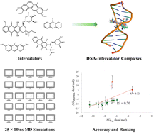 Graphical abstract: Ensemble molecular dynamics for predicting binding energies of DNA intercalators
