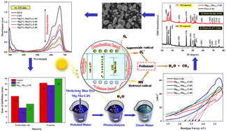 Graphical abstract: Mg/Mn co-doped CdS nanoparticles: a multifunctional platform for wastewater purification and antibacterial applications