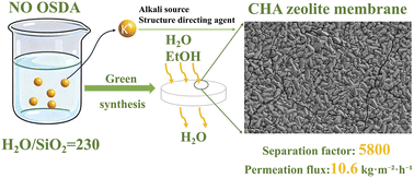 Graphical abstract: Green synthesis of high-performance CHA zeolite membranes in pure K+ clear solution
