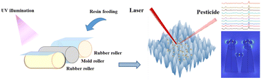 Graphical abstract: A large-scale and flexible SERS substrate based on sliver decorated nano-cone arrays and its applications for pesticide residue detection