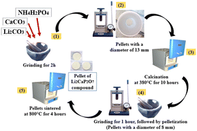 Graphical abstract: Li2CaP2O7 pyrophosphate ceramics with dual functionality: high-performance NTC thermistor behavior and giant dielectric permittivity