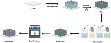 Graphical abstract: Photoelectrochemical performances of MoO2/TiO2 nanotube array (TNA) heterojunctions synthesized by SILAR method