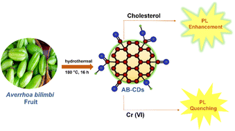 Graphical abstract: Carbon dots derived from Averrhoa bilimbi fruit for the detection of cholesterol and chromium(vi)