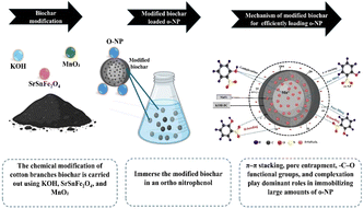 Graphical abstract: Engineered SrSnFe2O4@δ-MnO2/activated biochar heterocomposite with a porous surface for efficient o-nitrophenol removal