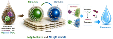 Graphical abstract: Enhanced removal of fluoride and phosphate by nickel-doped kaolinite nano-adsorbents: mechanisms and resource recovery