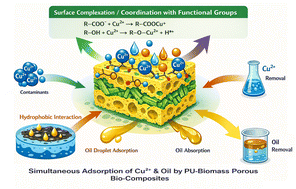Graphical abstract: Multifunctional porous bio-polyurethane/biomass composites for concurrent removal of oil and heavy metal ions