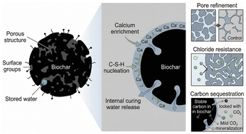 Graphical abstract: Interfacial chemistry of biochar-modified cementitious materials: mechanisms of pore structure refinement, chloride immobilization, and carbon sequestration