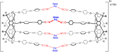 Graphical abstract: Dynamic palladium coordination cages formed by self-assembly of extended tetra(nitrile)cavitands