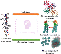Graphical abstract: Deep learning mechanism and its application in biomacromolecules