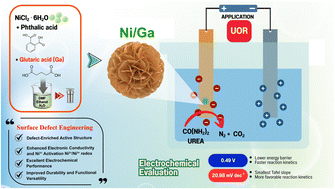Graphical abstract: Dual-ligand surface engineering of Ni-based nanostructures for efficient urea electrooxidation via Ni3+ activation and charge-transfer modulation