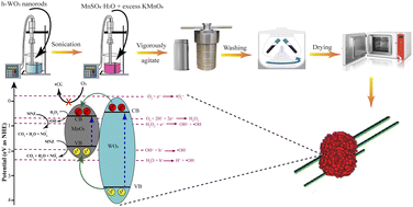 Graphical abstract: Interfacial charge transfer-driven UV-activated photocatalytic degradation of metronidazole via δ-MnO2/WO3 heterojunction in aqueous media