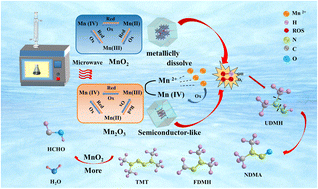 Graphical abstract: Contrasting mechanisms of UDMH degradation by MnO2 and Mn2O3 under microwave assistance: electronic structure, surface adsorption and catalytic reaction pathways
