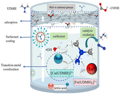 Graphical abstract: Emergency decontamination of leaked unsymmetrical dimethylhydrazine with carboxyl-rich graphene oxide: performance and mechanism