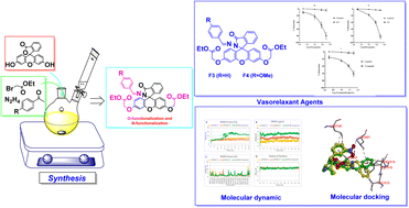 Graphical abstract: Synthesis, characterization, in vitro and computational assessment of new xanthene hydrazone derivatives as promising vasorelaxant agents