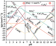 Graphical abstract: Thermodynamic analysis of the decomposition of scheelite by oxalic acid