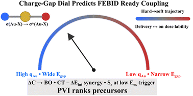 Graphical abstract: Charge-transfer interactions govern the trans influence and electron-induced bond activation in linear Au(i) complexes