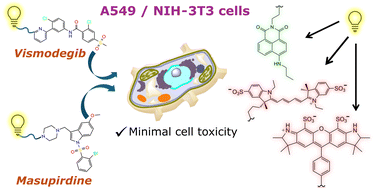 Graphical abstract: Synthesis and preliminary assessment of fluorescent probes based on the competitive GPCR antagonists vismodegib and masupirdine