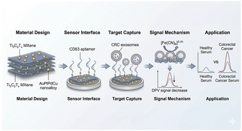 Graphical abstract: MXene–AuPtPdCu nanoalloy-based aptameric immunosensor for differential pulse voltammetric quantification of colorectal cancer exosomes