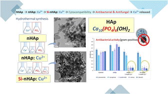 Graphical abstract: Synergistic effect of copper(ii) ions and orthosilicate group in nanosized hydroxyapatite