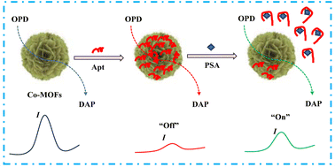 Graphical abstract: Nanoflower-shaped cobalt-metal–organic framework as an oxidase-like nanozyme and 1,2-diaminobenzene as a catalytic substrate for the innovative signal “off-on” aptamer sensing of prostate-specific antigen