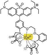 Graphical abstract: Straightforward synthesis of Solomon-red-BAPTA as NIR fluorescent sensors via metal-free oxidative coupling
