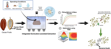 Graphical abstract: Integrated sonication-assisted deep eutectic solvent for extraction of antibacterial compounds from cacao shells