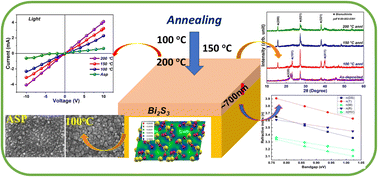 Graphical abstract: Enhanced Photodetectivity and responsivity of Bi-S films for visible light photodetectors: an experimental and density functional theory study