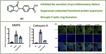 Graphical abstract: Design, synthesis and bioactivity of indobufen derivatives