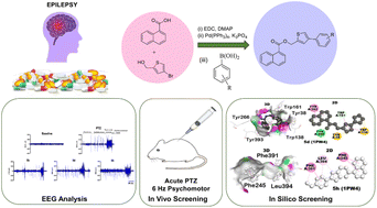 Graphical abstract: Facile synthesis of (4-phenylthiophen-2-yl)methyl 1-naphthoates via Suzuki–Miyaura cross-coupling: anti-seizure evaluation through molecular docking, EEG analysis, and ADMET profiling
