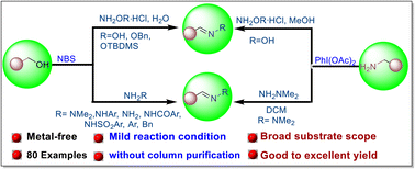 Graphical abstract: Metal-free sustainable synthesis of oximes and hydrazones from benzyl alcohol and benzylamine
