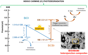 Graphical abstract: Comprehensive study of tunable BiOI/BiOBr heterojunctions: reactive species and mechanistic insights for visible-light degradation of indigo carmine