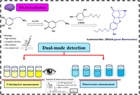 Graphical abstract: Derivatization-assisted dual-mode colorimetric and fluorometric detection of dopamine using 4-hexyl resorcinol