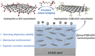 Graphical abstract: Covalently silane-bridged e-graphene oxide nanosheets toward year-long dispersion-stable epoxy nanocomposites with superior corrosion protection