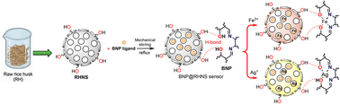 Graphical abstract: Development of a green and sustainable rice husk nanosilica-based spectrophotometric probe for dual detection of Ag(i) and Fe(iii) in environmental and E-waste matrices