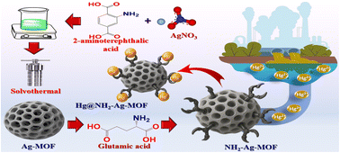 Graphical abstract: Efficient removal of mercury(ii) ions using glutamic acid modified metal–organic frameworks: adsorption models, thermodynamics, and parameter optimization
