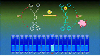Graphical abstract: Design and evaluation of a thiazoline-appended imidazole based fluorescent turn on chemosensor for Hg2+ ion detection: spectroscopic characterization and solid state film applications