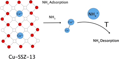 Graphical abstract: Nature of ammonia storage sites in H-SSZ-13 and Cu-SSZ-13