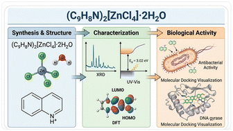 Graphical abstract: Integrated structural, vibrational, thermal, and optical characterization of a zinc-based organic–inorganic hybrid with DFT and molecular docking insights into its biological properties