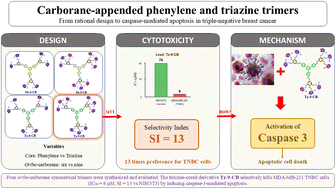 Graphical abstract: Synthesis, photophysical, computational, and cytotoxicity evaluation of carborane-appended phenylene and triazine trimers: elucidating the role of the central core