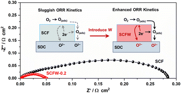 Graphical abstract: Unveiling the critical role of W doping in enhancing oxygen reduction activity of SrCo0.7Fe0.3O3−δ cathodes for intermediate-temperature SOFCs