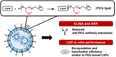 Graphical abstract: Lipids and lipid nanoparticles functionalized with randomized poly(ethylene glycol) (rPEG) for mRNA delivery