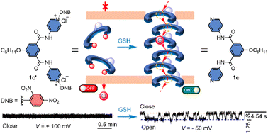 Graphical abstract: Glutathione-activatable synthetic channel for hopping-mediated anion transport