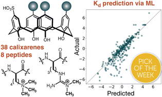 Graphical abstract: Synthesis and machine learning techniques to enable data-driven investigation of supramolecular host–guest interactions