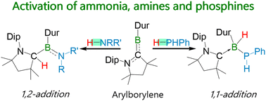 Graphical abstract: N–H/P–H bond activation of ammonia, amines and phosphines at a transient borylene