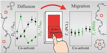 Graphical abstract: Li diffusion and migration are influenced differently by co-solvents in polymer electrolytes based on poly(ε-caprolactone) and poly(ethylene oxide)
